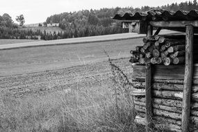 Black and white photo of the wood