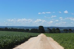 road between fields