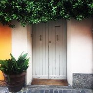 stunning door