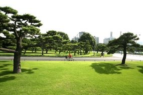 bike ride along the park in summer