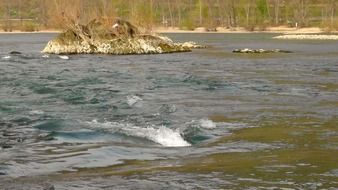 rapids rhine