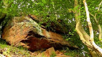 large sandstone stone in the forest in palatinate