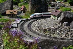 miniature railway and a train