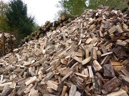 big mountain of wood