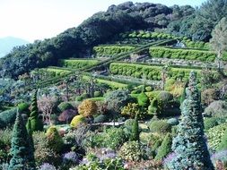 beautiful green botanical garden