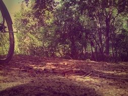 part of bike wheel standing on ground at forest