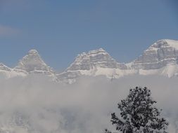 Beautiful foggy landscape with snowy mountains behind the tree