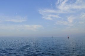 sailboats in the ocean