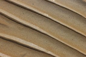 sand lines on the beach