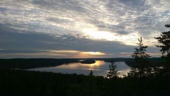 Beautiful panorama with the colorful sunset over the lake with plants on the shore