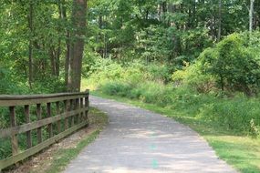 Beautiful landscape of the park with the bridge and green forest