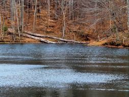 rippling water lake