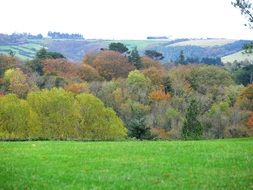 landscape of trees near a green field in ireland