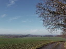 wet country road along the fields