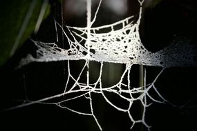 web in details