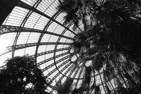Plants in a garden