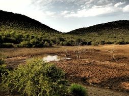 Beautiful colorful landscape with the nature in Africa