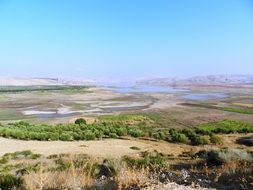 desert with greenery in morocco