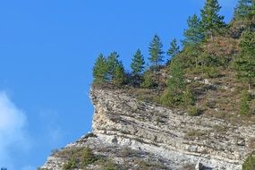 Landscape with the trees on Alps