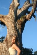 girl in a wedding dress near a large twisted tree