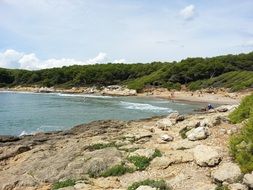 beach in sea bay