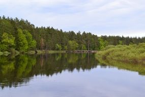 meschera between forests, swamps and lakes