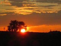 Landscape on orange sunset