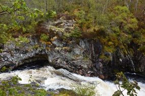 river rapid in nature