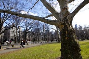 gorgeous new york central park