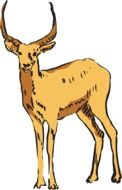 Cartoon drawing of the standing antelope with horns