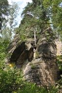 natural mountains in forest