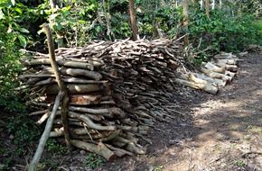 firewood fuel stack