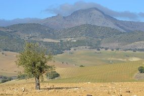 summer landscape of mountains in Spain