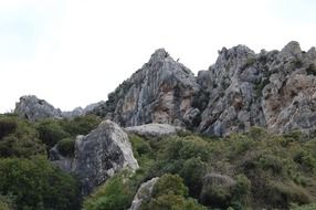 mountain landscape in savanna