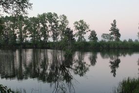 trees reflecting on lake at summer evening, russia