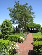 landscape design in the botanical garden