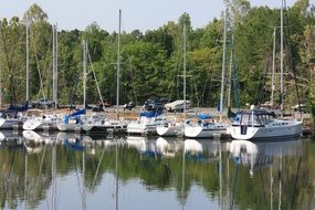 mooring of sailing boats