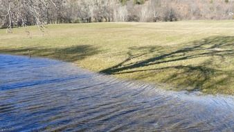 the shadow of trees on the shore and on the surface of the pond