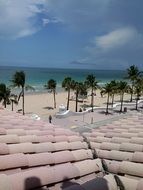 Palm trees on a sand