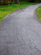 green lawn along an asphalt road