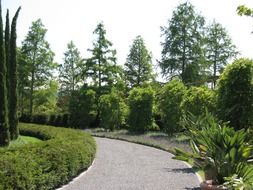 enea garden rapperswil