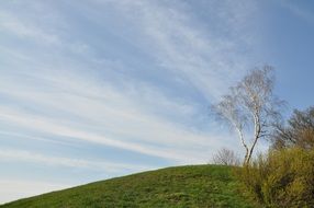 bright spring sky over a green meadow