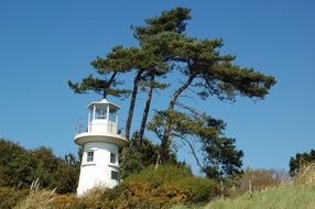 lighthouse among green trees on a sunny day