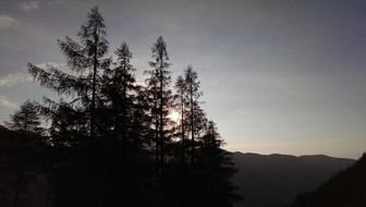 landscape of gorgeous light behind the trees