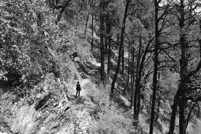 black and white photo of a man on a forest trail