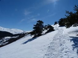 hiking on snowy mountain at winter