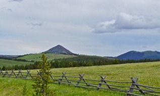 fence in the meadow