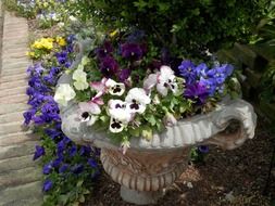 bright flowers in a garden pot