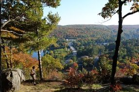 landscape of the road and autumn forest