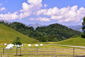 white clouds over forest scenic landscape